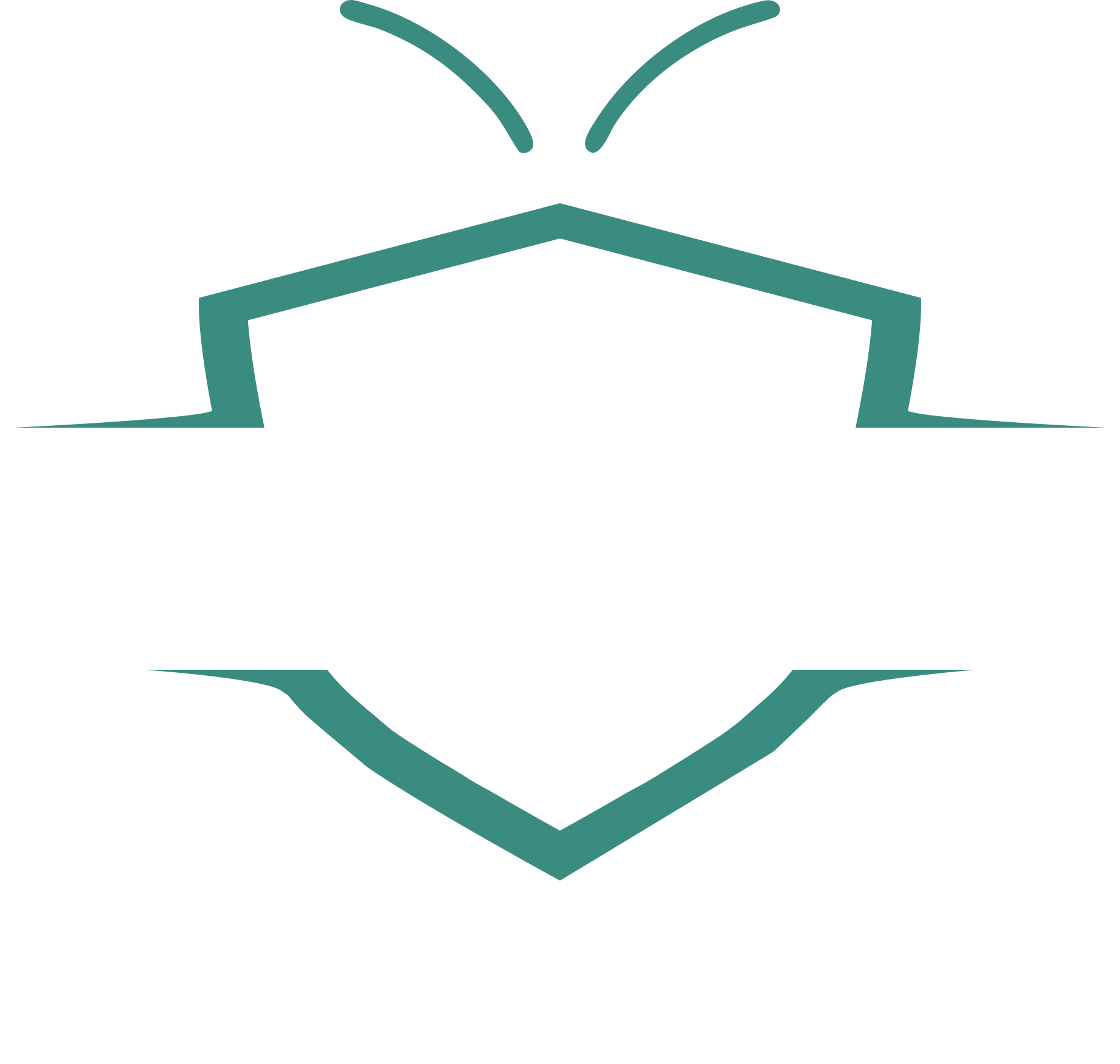 Strib Pest Control logo