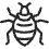 Bed Bugs